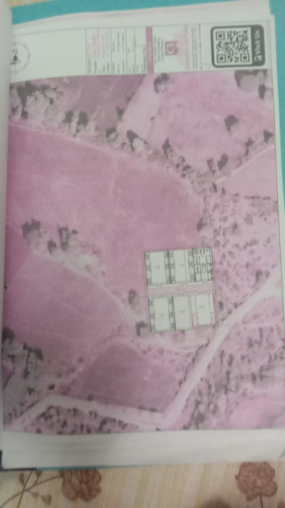 Maa Sharda Seva Samiti Seva Photo 14